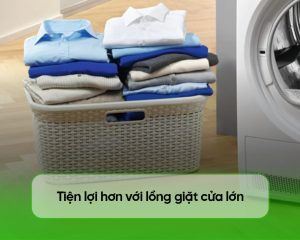 Máy giặt Electrolux Inverter 9 kg EWF9024P5SB EWF9024P5SB 6