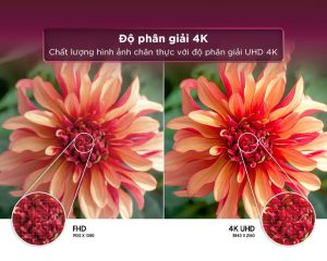 UA43AU77009 min