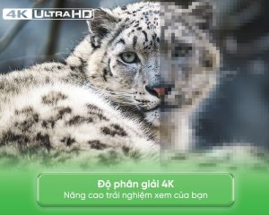 55QG80002 min