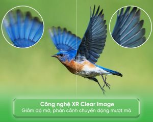 XR 65A95L6 min