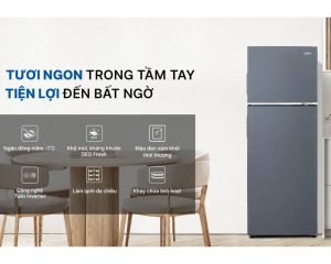 tu lanh 0015s 0001 AQR T299FASL